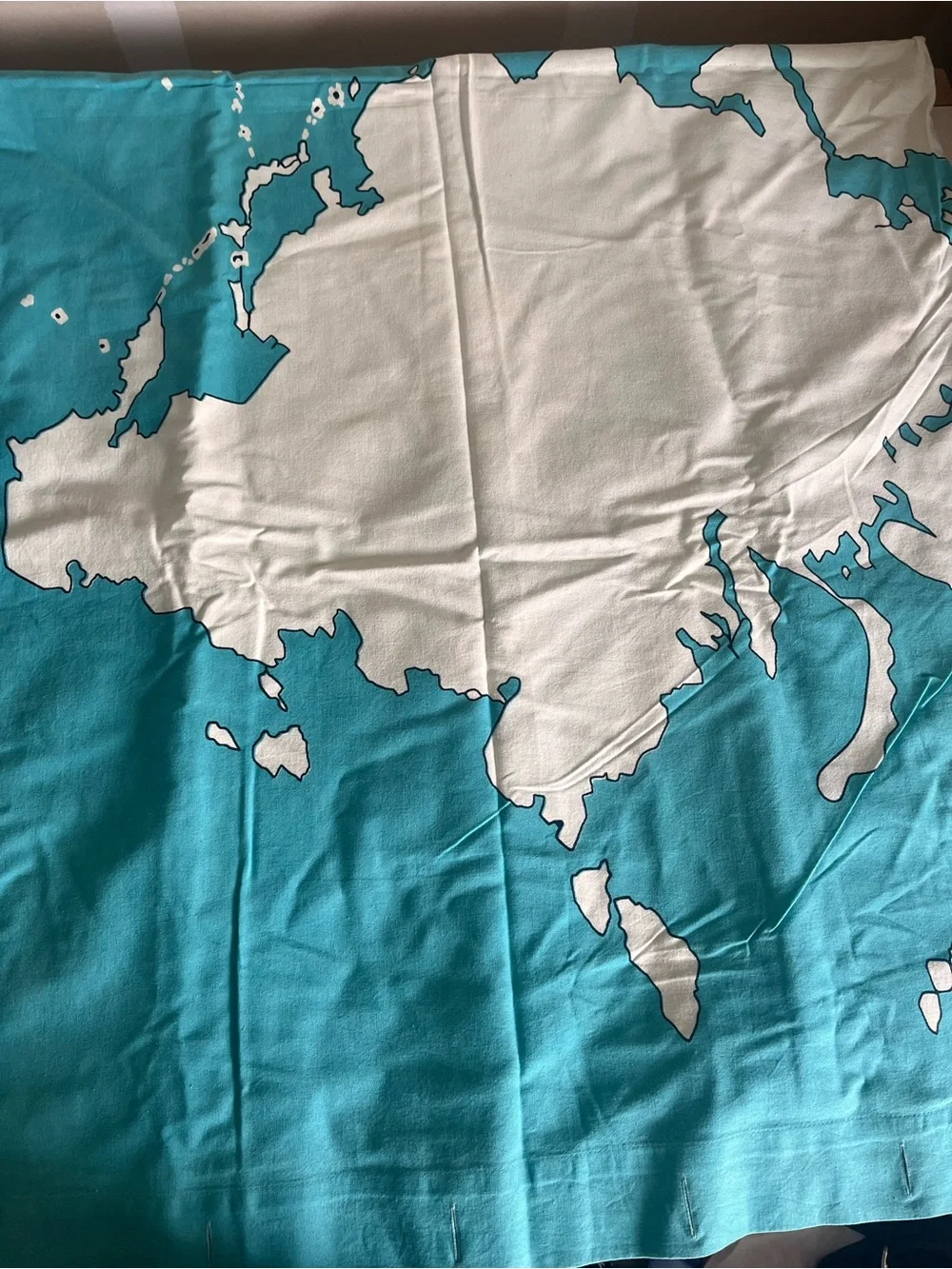 Urban Outfitters Blue and White World Map Shower Curtain